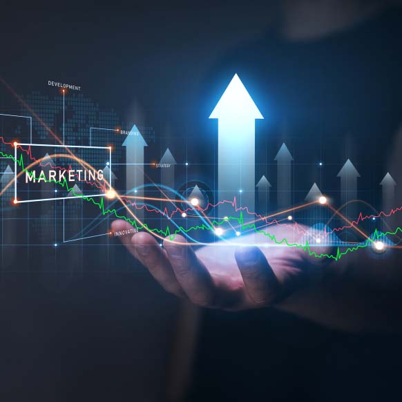 Digital marketing                                                  services including SEO and social media